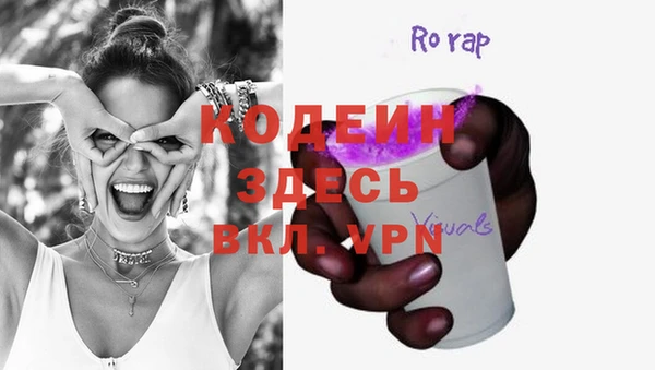 прущие грибы Алагир