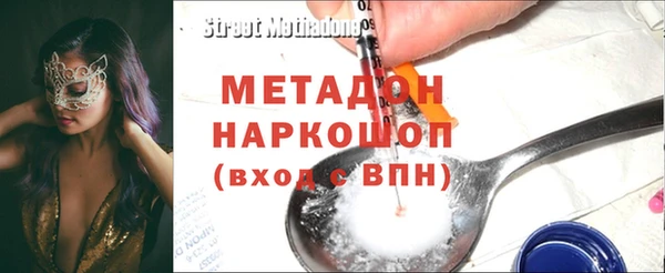 прущие грибы Алагир