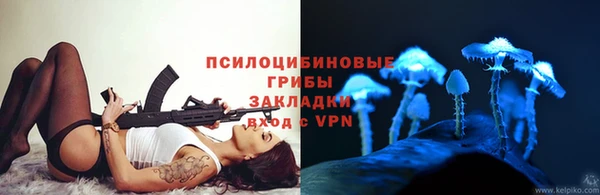 прущие грибы Алагир