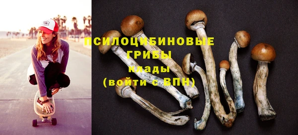 прущие грибы Алагир