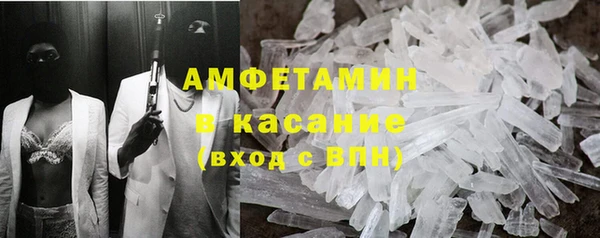 прущие грибы Алагир
