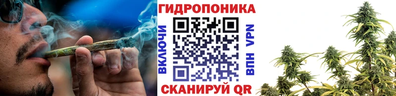 мега сайт  Звенигово  Шишки марихуана конопля 